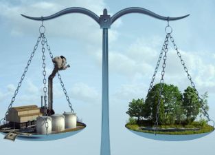 The Balance Between Economic Growth and Ecology